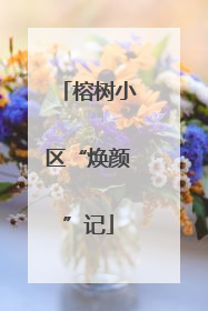 榕树小区“焕颜”记