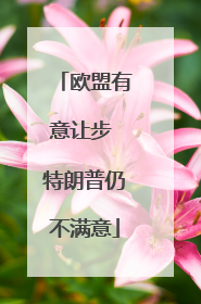 欧盟有意让步 特朗普仍不满意