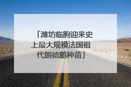 潍坊临朐迎来史上最大规模法国祖代朗德鹅种苗