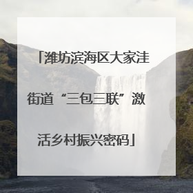 潍坊滨海区大家洼街道“三包三联”激活乡村振兴密码