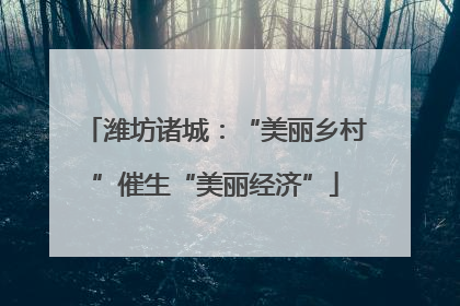 潍坊诸城：“美丽乡村”催生“美丽经济”