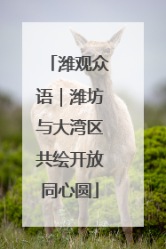 潍观众语｜潍坊与大湾区共绘开放同心圆