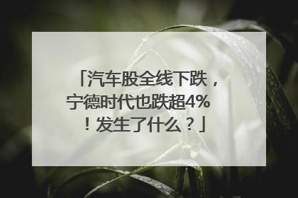 汽车股全线下跌，宁德时代也跌超4%！发生了什么？
