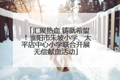 汇聚热血 铸就希望！襄阳市朱坡小学、太平店中心小学联合开展无偿献血活动