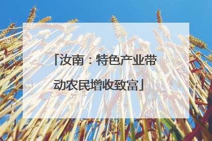 汝南：特色产业带动农民增收致富