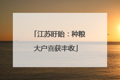 江苏盱眙：种粮大户喜获丰收