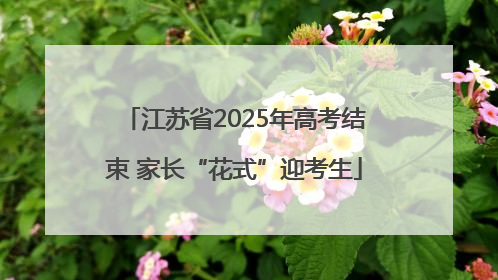 江苏省2025年高考结束 家长“花式”迎考生