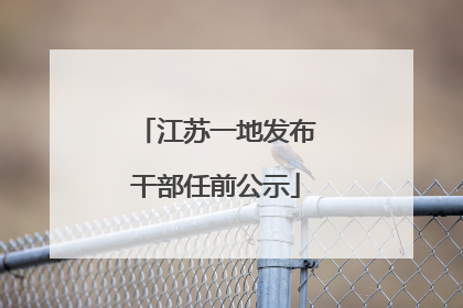 江苏一地发布干部任前公示
