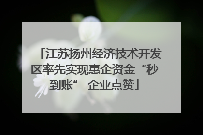 江苏扬州经济技术开发区率先实现惠企资金“秒到账” 企业点赞