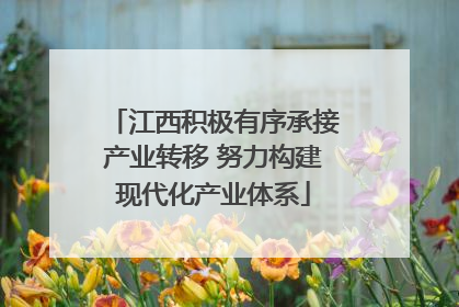 江西积极有序承接产业转移 努力构建现代化产业体系
