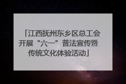 江西抚州东乡区总工会开展“六一”普法宣传暨传统文化体验活动