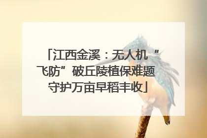 江西金溪：无人机“飞防”破丘陵植保难题 守护万亩早稻丰收