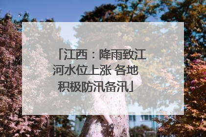 江西：降雨致江河水位上涨 各地积极防汛备汛