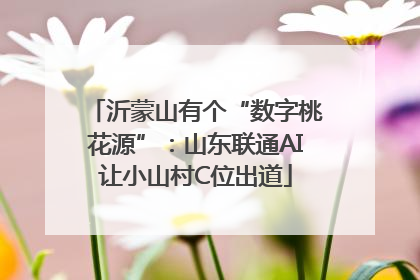 沂蒙山有个“数字桃花源”：山东联通AI让小山村C位出道