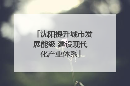 沈阳提升城市发展能级 建设现代化产业体系