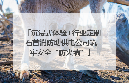 沉浸式体验+行业定制 石首消防助供电公司筑牢安全“防火墙”