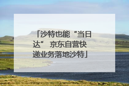 沙特也能“当日达” 京东自营快递业务落地沙特
