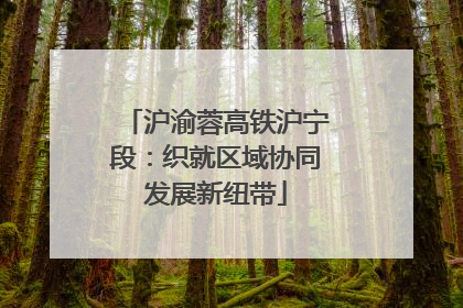 沪渝蓉高铁沪宁段：织就区域协同发展新纽带