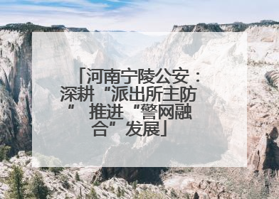河南宁陵公安：深耕“派出所主防” 推进“警网融合”发展