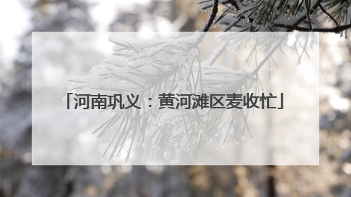 河南巩义：黄河滩区麦收忙