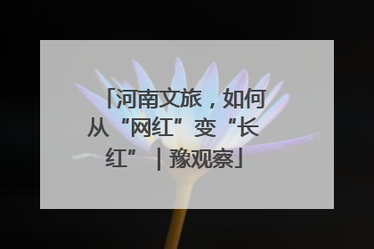 河南文旅，如何从“网红”变“长红”｜豫观察