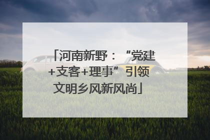 河南新野：“党建+支客+理事”引领文明乡风新风尚