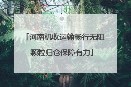 河南机收运输畅行无阻 颗粒归仓保障有力