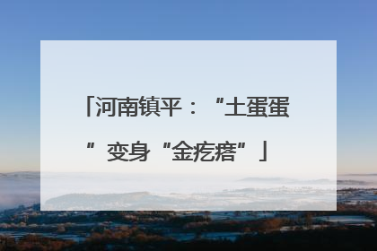 河南镇平：“土蛋蛋”变身“金疙瘩”