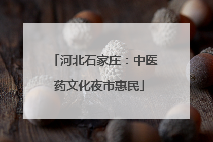 河北石家庄：中医药文化夜市惠民