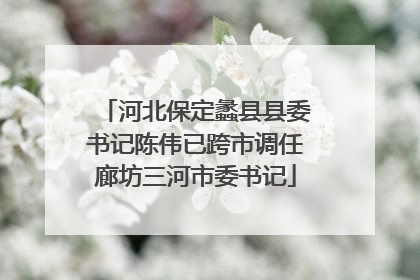 河北保定蠡县县委书记陈伟已跨市调任廊坊三河市委书记
