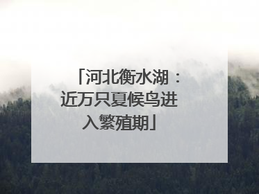 河北衡水湖：近万只夏候鸟进入繁殖期