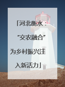 河北衡水：“交农融合”为乡村振兴注入新活力