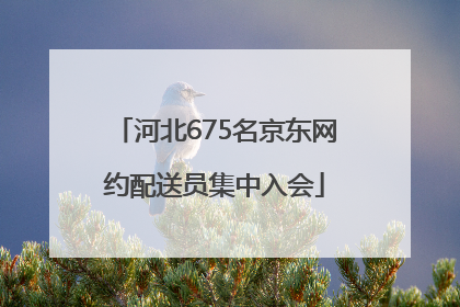 河北675名京东网约配送员集中入会