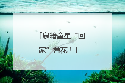 泉籍童星“回家”簪花！