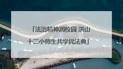 法治精神润校园 洪山十二小师生共学民法典