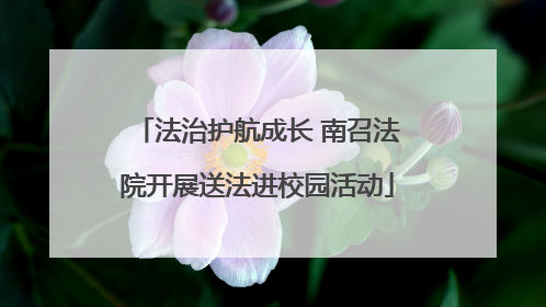 法治护航成长 南召法院开展送法进校园活动