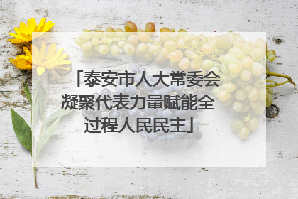 泰安市人大常委会凝聚代表力量赋能全过程人民民主
