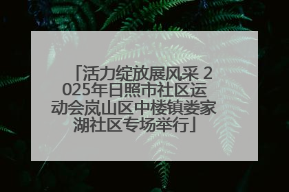 活力绽放展风采 2025年日照市社区运动会岚山区中楼镇娄家湖社区专场举行