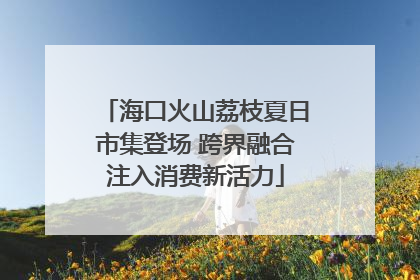 海口火山荔枝夏日市集登场 跨界融合注入消费新活力