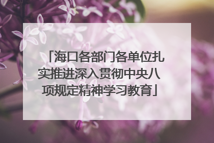 海口各部门各单位扎实推进深入贯彻中央八项规定精神学习教育