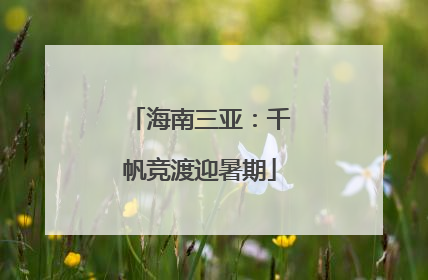海南三亚：千帆竞渡迎暑期