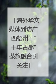 海外华文媒体到访广西梧州 “千年古郡”茶旅融合引关注