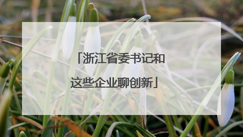 浙江省委书记和这些企业聊创新