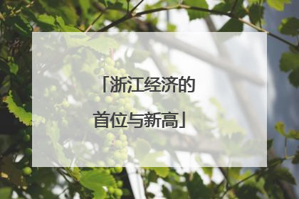 浙江经济的首位与新高