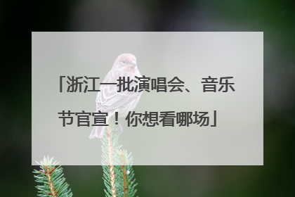 浙江一批演唱会、音乐节官宣！你想看哪场