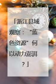 浙江县域观察：“蓝色资源”何以动力澎湃？