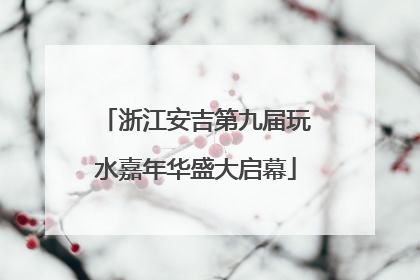 浙江安吉第九届玩水嘉年华盛大启幕