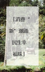 消费“新”潮涌 民生幸福味