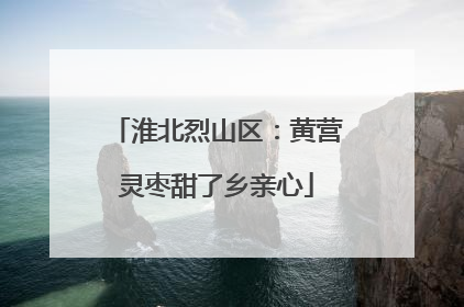 淮北烈山区：黄营灵枣甜了乡亲心