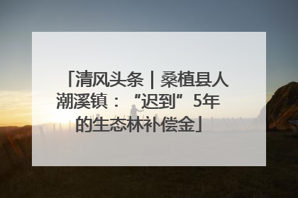 清风头条｜桑植县人潮溪镇：“迟到”5年的生态林补偿金